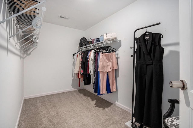 spacious closet featuring carpet