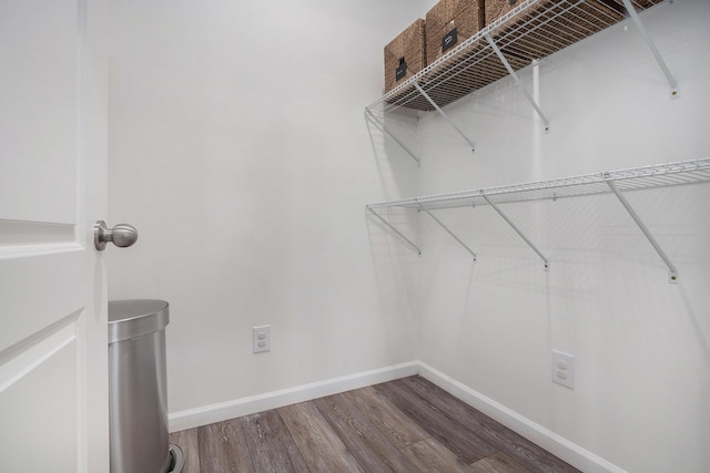 spacious closet with wood-type flooring