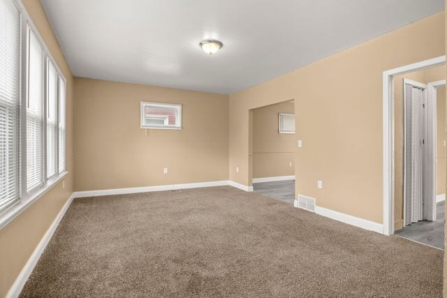 spare room featuring carpet and a healthy amount of sunlight