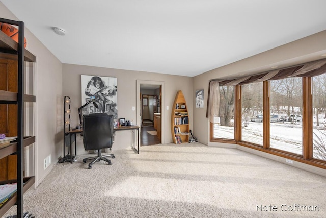 office area featuring carpet flooring