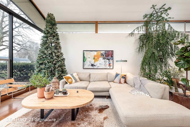 living room featuring hardwood / wood-style flooring, plenty of natural light, and expansive windows