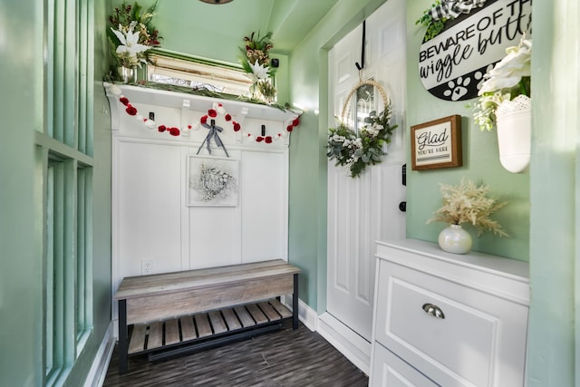 mudroom with dark hardwood / wood-style floors