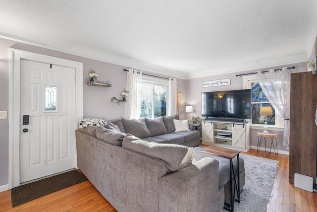 living room featuring hardwood / wood-style flooring