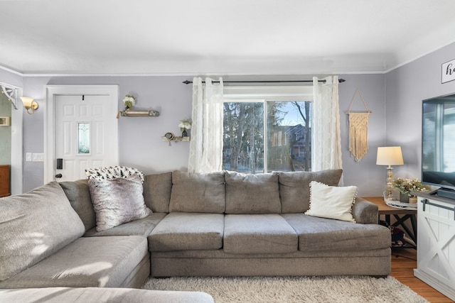 living room featuring crown molding and hardwood / wood-style floors