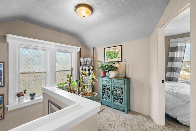 interior space featuring vaulted ceiling, light colored carpet, and a textured ceiling