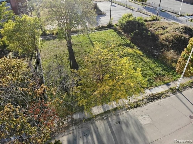 2939 Park Ave, Detroit, MI 48201