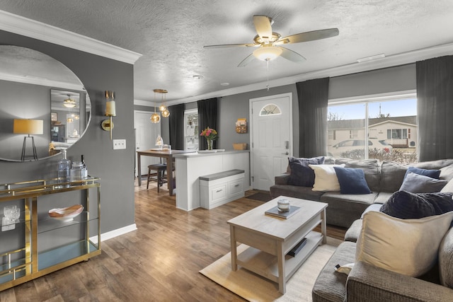 living room featuring hardwood / wood-style flooring, ceiling fan, ornamental molding, and a textured ceiling