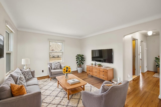 living room with light hardwood / wood-style floors