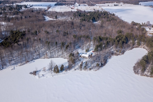 3788 Murray Rd, Mayville, MI 48744 - photo 57