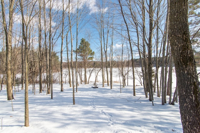 3788 Murray Rd, Mayville, MI 48744 - photo 53
