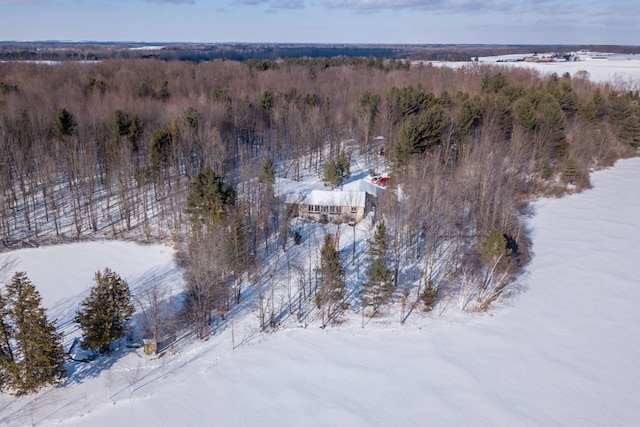 3788 Murray Rd, Mayville, MI 48744 - photo 61