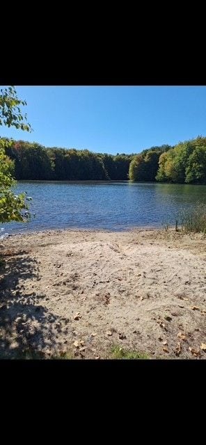 3788 Murray Rd, Mayville, MI 48744 - photo 34