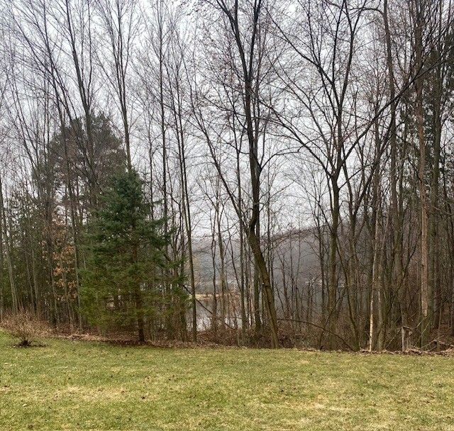 3788 Murray Rd, Mayville, MI 48744 - photo 45