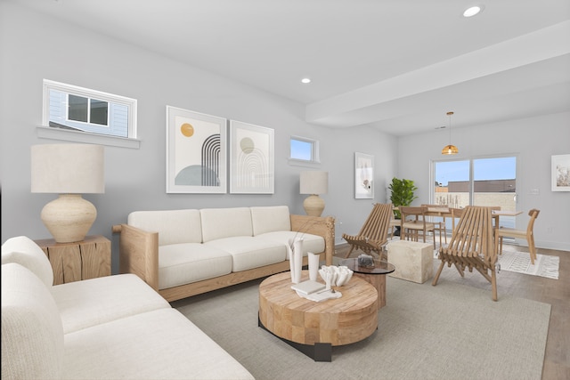 living room featuring hardwood / wood-style flooring