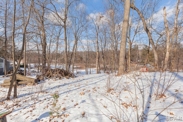 12456 Crystal Lake Dr, Cement City, MI 49233