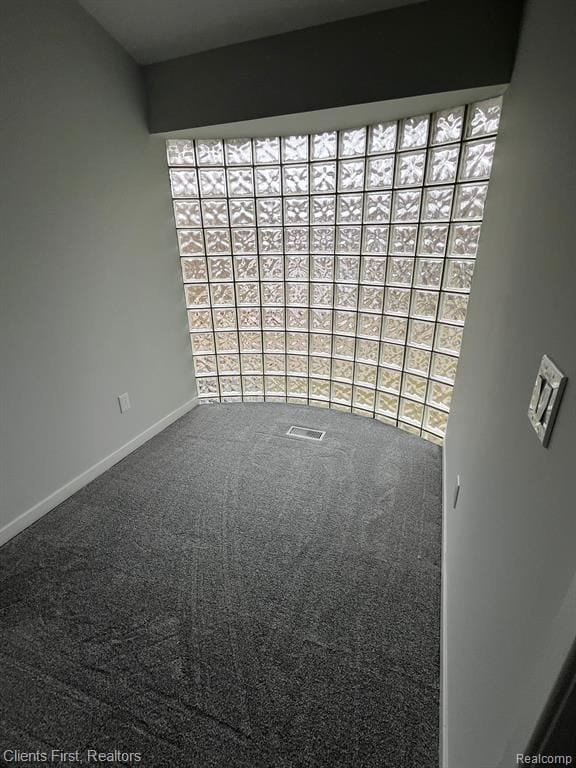 unfurnished room featuring carpet floors and a wealth of natural light