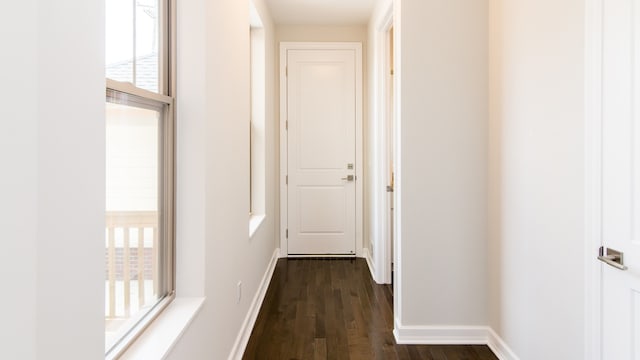 corridor with dark wood-type flooring