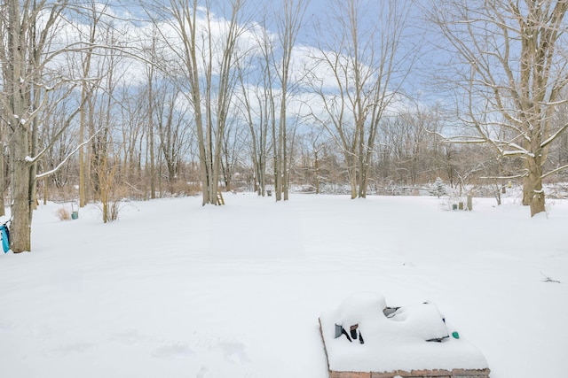 view of snowy yard