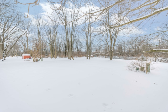 view of yard layered in snow