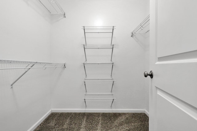 walk in closet with dark colored carpet