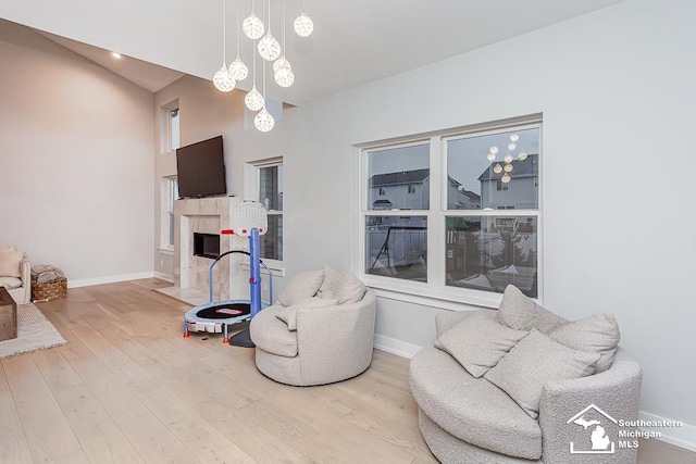 living area featuring a fireplace and wood-type flooring