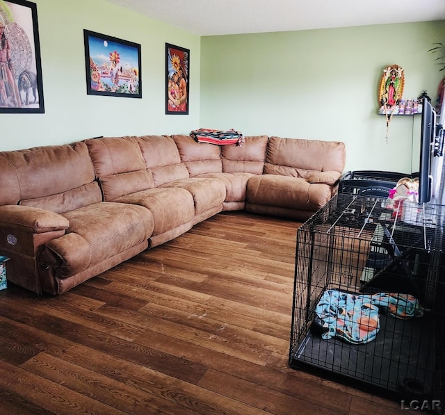 living room with hardwood / wood-style floors