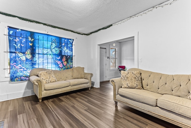 living room featuring wood-type flooring and a textured ceiling