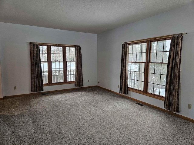 carpeted spare room with a healthy amount of sunlight and a textured ceiling