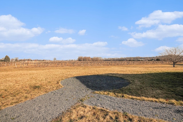 view of yard featuring a rural view