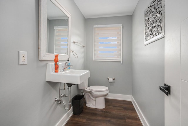 bathroom with wood-type flooring and toilet