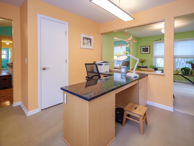 carpeted office space with a healthy amount of sunlight