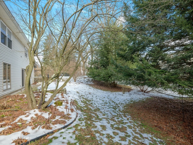 view of yard covered in snow