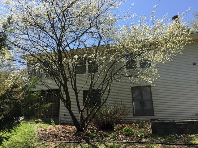 view of back of property