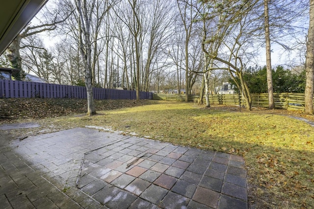 view of yard with a patio