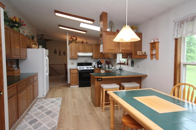14523 E V Ave, Fulton, MI 49052 - kitchen featuring gas range oven, under cabinet range hood, a sink, freestanding refrigerator, and a peninsula