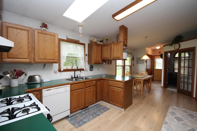 14523 E V Ave, Fulton, MI 49052 - kitchen featuring a sink, dishwasher, a peninsula, and light wood finished floors