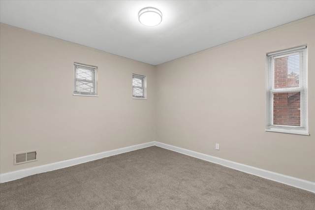 spare room with carpet