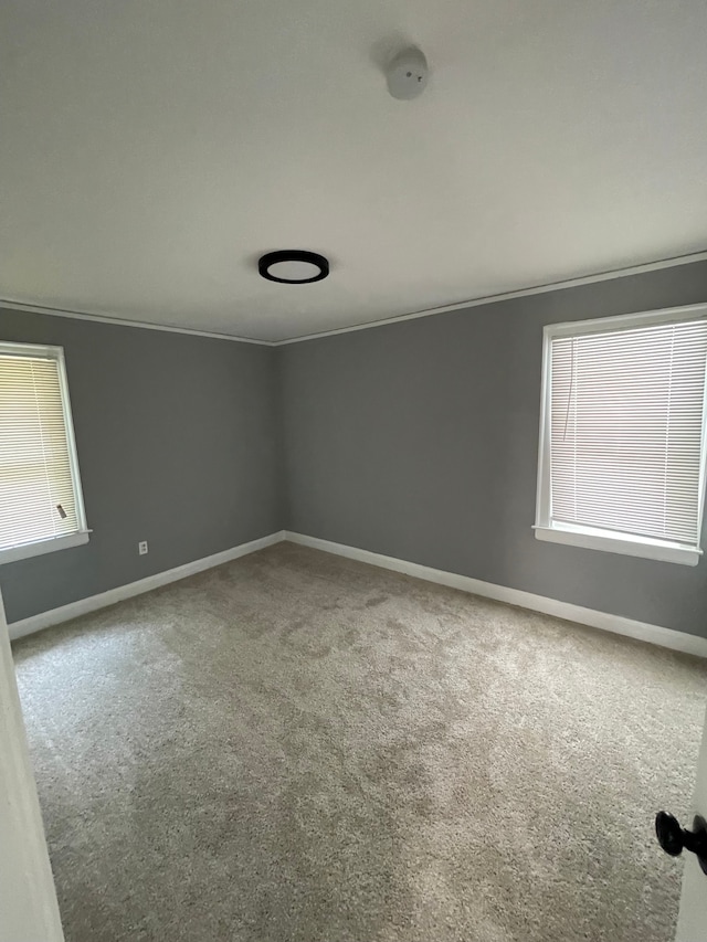 empty room featuring carpet flooring