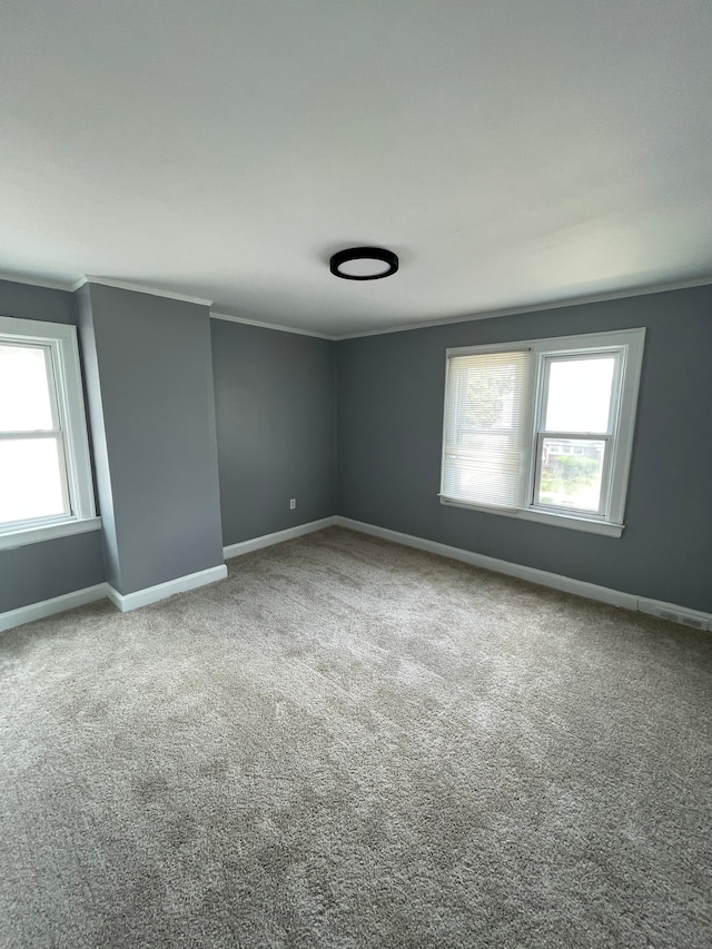 empty room featuring light colored carpet and ornamental molding