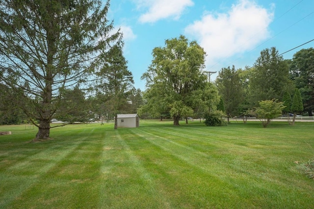 view of yard with a storage unit