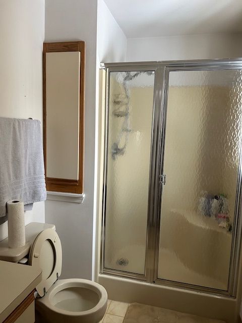 bathroom featuring tile patterned floors, toilet, a stall shower, and vanity