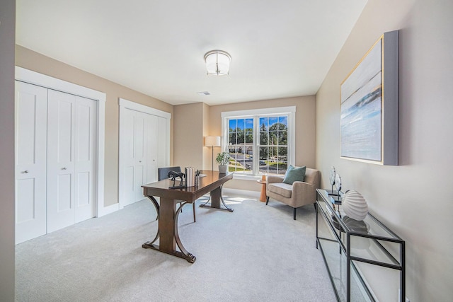 1115 Nature Trl, Manchester, MI 48158 - view of carpeted office space