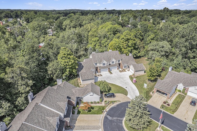 1115 Nature Trl, Manchester, MI 48158 - drone / aerial view