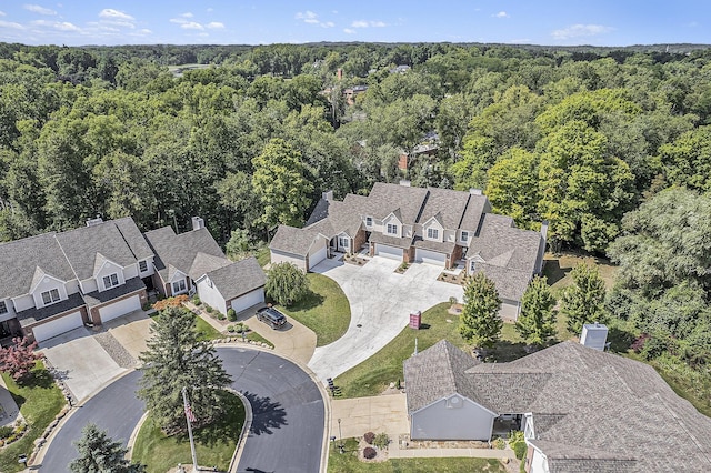 1115 Nature Trl, Manchester, MI 48158 - drone / aerial view