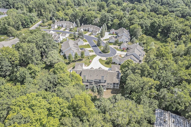 1115 Nature Trl, Manchester, MI 48158 - aerial view