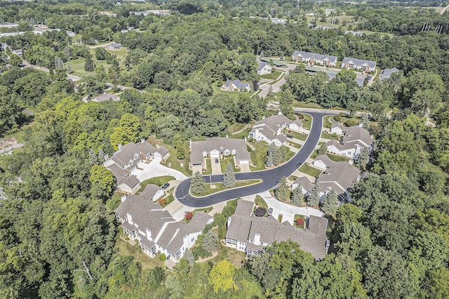 1115 Nature Trl, Manchester, MI 48158 - aerial view
