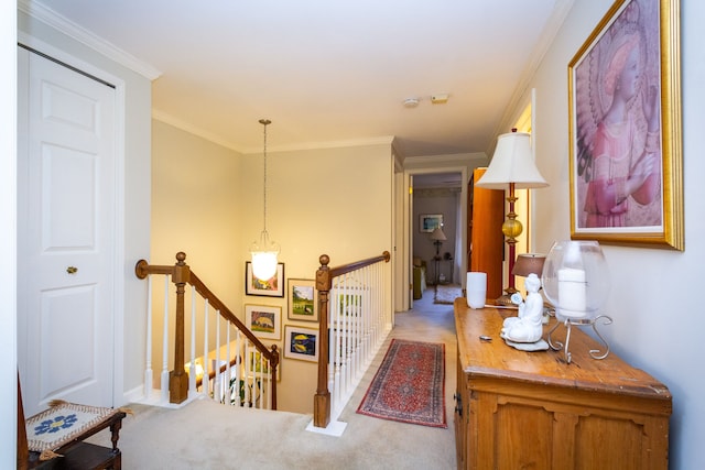 hallway featuring light carpet and crown molding