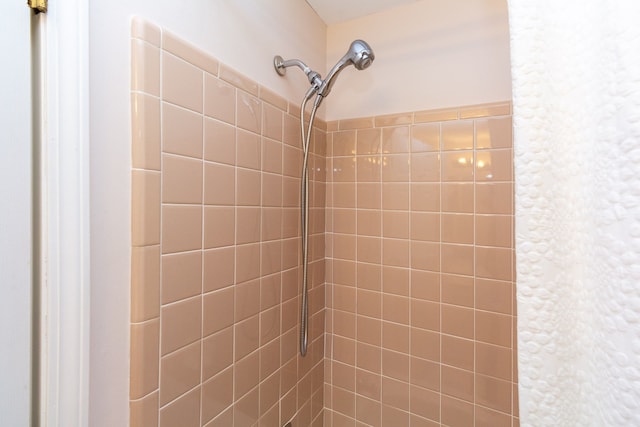 interior details featuring tiled shower