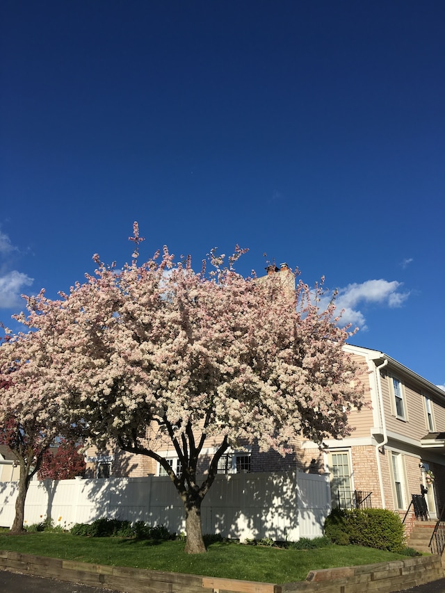 view of side of property