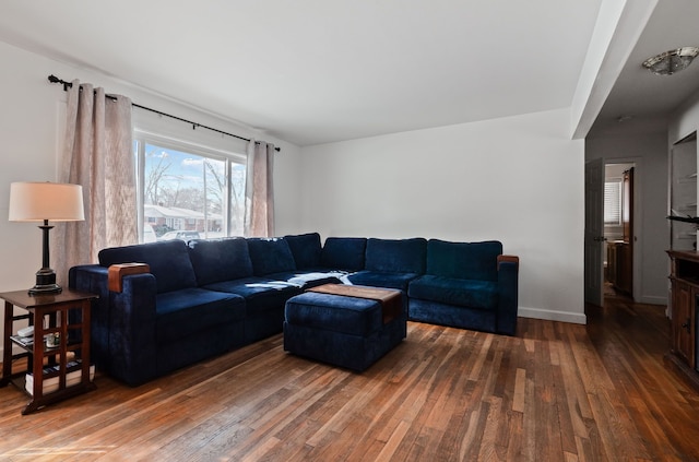 living room featuring wood-type flooring